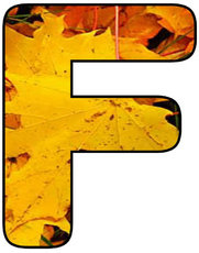 Herbstbuchstabe-2-F.jpg